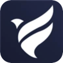 Feiniao Cheap VPN, 翱翔的鸟儿便宜VPN